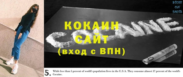 гидра Аркадак
