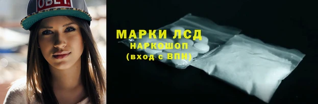 прущие грибы Арсеньев