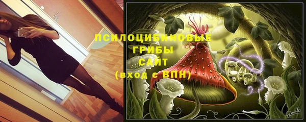 гидра Аркадак