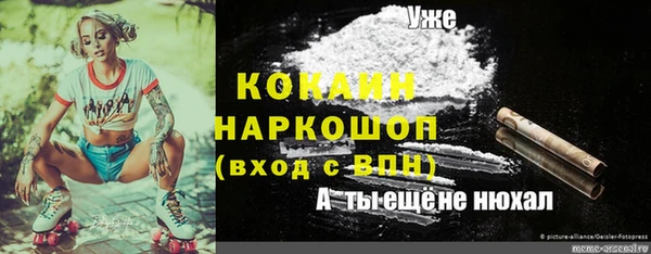 гидра Аркадак