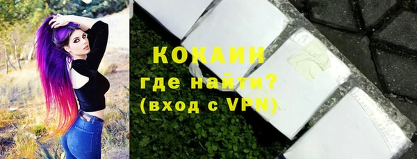 шишки Рославль