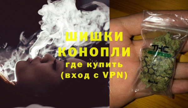 прущие грибы Арсеньев