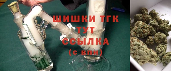 гидра Аркадак