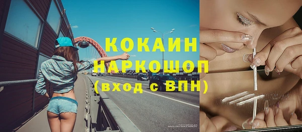 прущие грибы Арсеньев