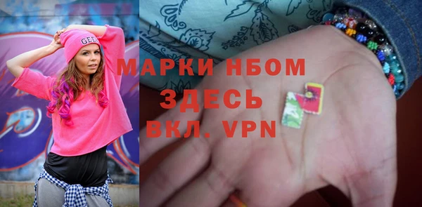гидра Аркадак