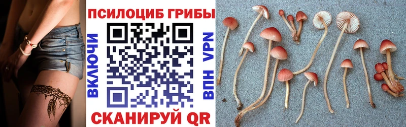 Галлюциногенные грибы GOLDEN TEACHER  как найти наркотики  Армянск 